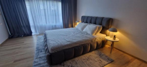Free SPA Pirin lodge cosy apartment